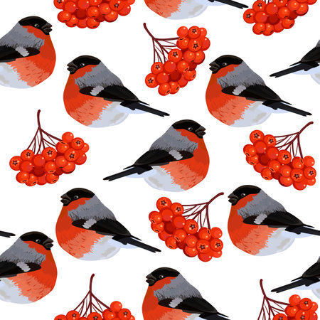 Seamless pattern with red rowan berries and bullfinches. Vector illustration on white background.のイラスト素材