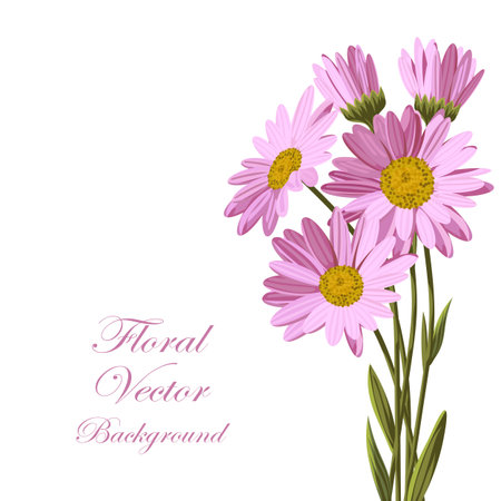 Beautiful pink daisiesのイラスト素材