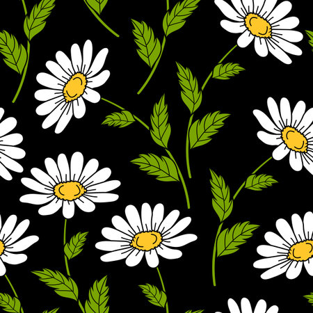 Seamless pattern with white daisies on black background. Vector illustration.のイラスト素材