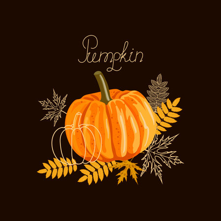 Orange big pumpkin with autumn leaves for use in your design.のイラスト素材