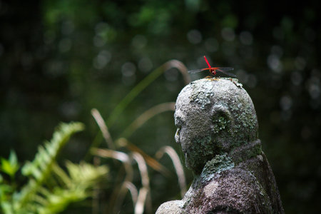 Red dragonfly in the statueの写真素材