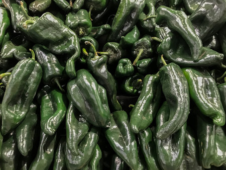 Hot chili peppers freshly picked from vinesの写真素材