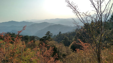 Nature Coloursの写真素材