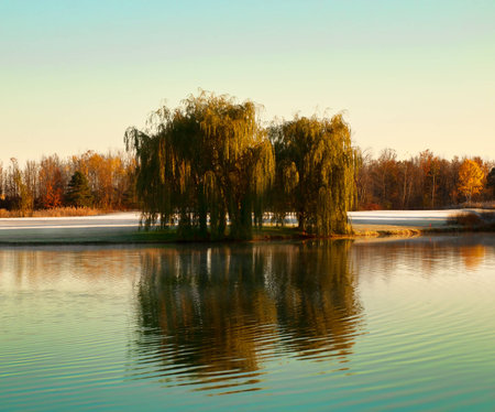 early morning scene in wintertimeの写真素材