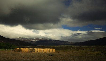 Sunlit straw bales in a meadow, Icelandの写真素材
