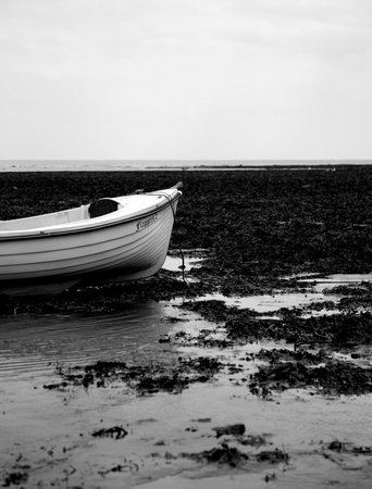 White boat on a seaweed covered beach taken in black and whiteの写真素材