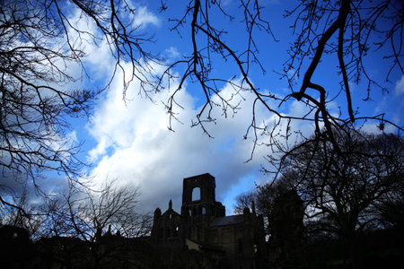 Kirkstall Abbey framed by branches against a blue skyの写真素材