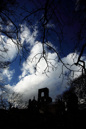 Kirkstall Abbey framed by trees against a blue skyの写真素材