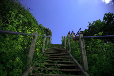 Up the steps at Robin Hoods Bayの写真素材
