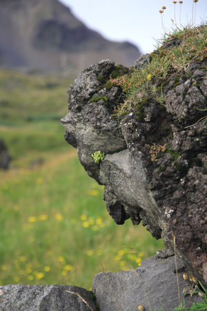 The face in the rock Snaefellsnes peninsular Icelandの写真素材