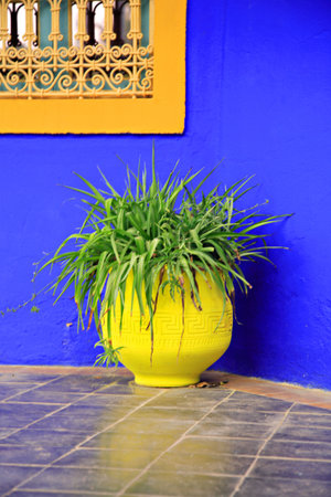 Blue wall yellow pot Marrakech Moroccoの写真素材