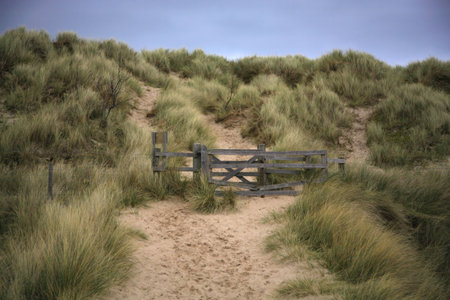Beach path and sand dunes Bamburgh North East England