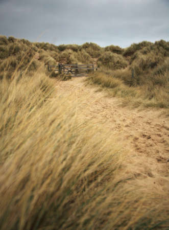 Bamburgh beach path Northumberland Englandの写真素材