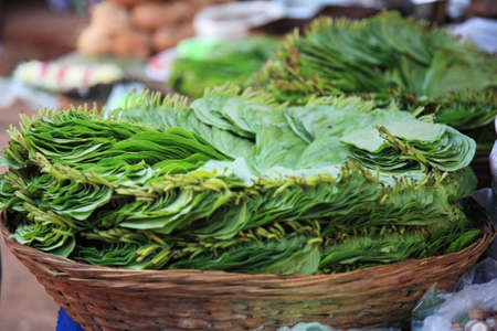 Green leaves in a basket at a market in Goa India