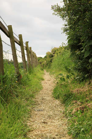 English Countryside Path, North Yorkshireの写真素材