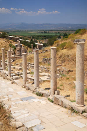 Marble Road lined with Basilica columns Ephesus Turkey
の写真素材