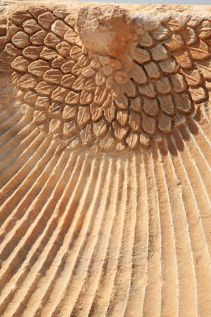 Close up of the Phoenix carving Hierapolis, Turkey
の写真素材