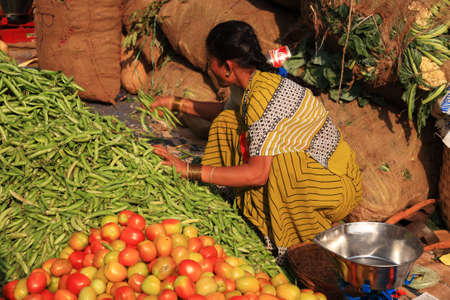 Woman gathering green beans Indian street market Goa 25 January 2008のeditorial素材