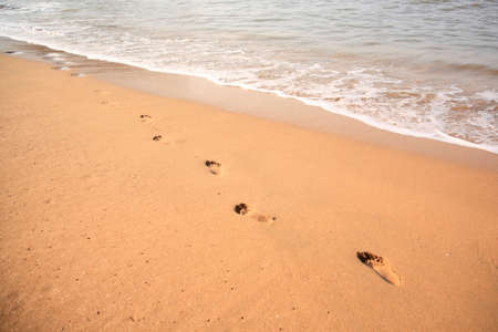 Footprints in the sand on the beach Goa India
の写真素材