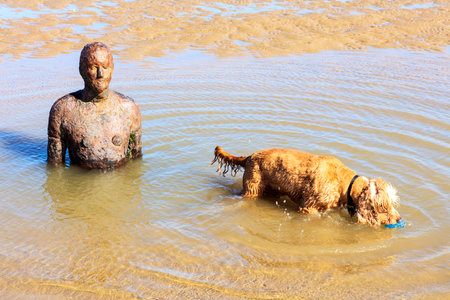 CROSBY BEACH, ENGLAND - SEPTEMBER 13, 2016: Detail of Another Place by Antony Gormley consists of 100 cast-iron, life-size figures spread out along three kilometres of the foreshore near Liverpool.のeditorial素材