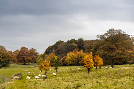 WAKEFIELD, YORKSHIRE, UK - November 6, 2019: Scenic autumnal views of the Yorkshire Sculpture Park with works by Damien Hirst.のeditorial素材