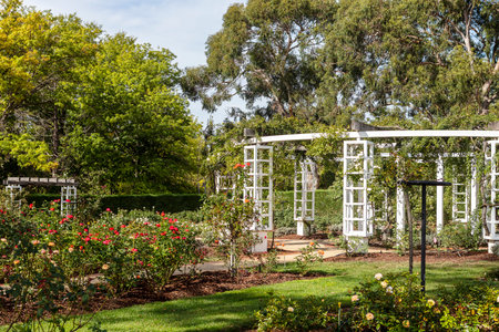 CANBERRA, AUSTRALIA - March 28, 2019: Wedding arbours in the House of Representatives' Gardens by The Old Parliament House.のeditorial素材
