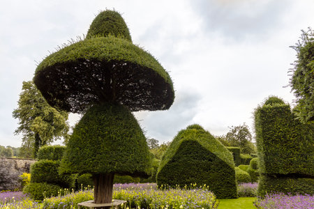 Oldest topiary park in the world with fantastically shaped plants at the Levens Hall in Cumbria, UK.のeditorial素材