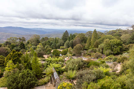 Scenic view of the the Blue Mountains at the Botanic Garden near Sydney, Australia.の写真素材