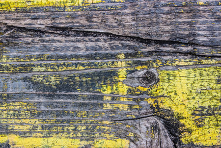 tree texture with remnants of yellow paint with traces of rubbingの写真素材