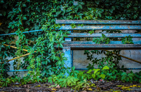 The old thrown shop in the wild abandoned gardensの写真素材
