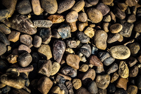 Seamless texture multicolored pebbles smooth pebbles large