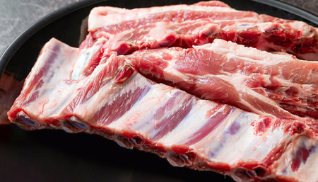 Full frame of raw pork ribs. Macro shot of meat on the bone. Food background.の写真素材