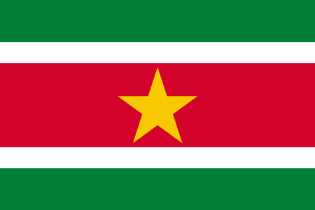 High detailed vector flag of Surinameのイラスト素材