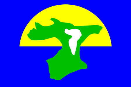 Chatham islands flag vector illustration isolated. New Zealand territory archipelago in Pacific ocean.のイラスト素材