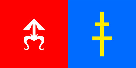 The flag of Skarzhi districtのイラスト素材