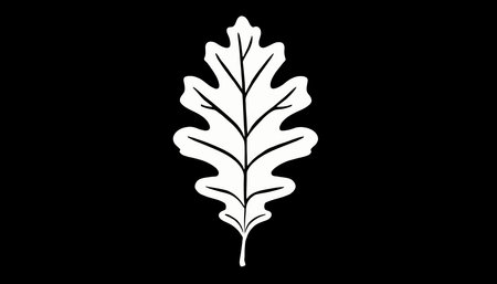 Oak leaf graphic icon. Oak leaf sign isolated on white background. Flat style. Modern pictogram for web graphics. Vector illustrationのイラスト素材