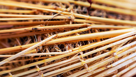 The image is of a bunch of straws, some of which are brown and some are yellow. The straws are scattered all over the image, with some overlapping each other. Scene is somewhat chaoticの素材