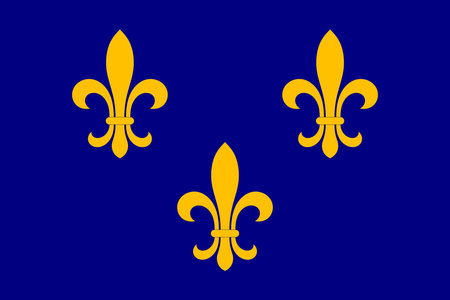 Flag of Northern Louisiana combining French tricolor elements with local Southern symbolism, representing Louisiana's cultural and regional identity.のイラスト素材