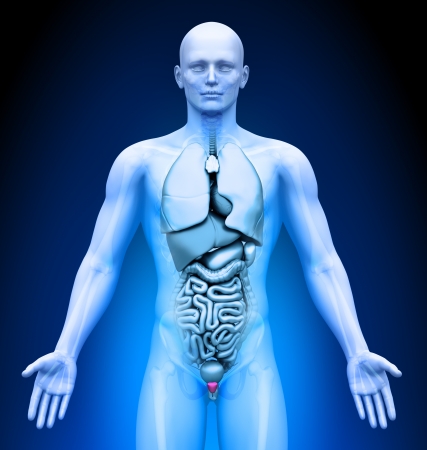 Medical Imaging - Male Organs - Prostateの写真素材