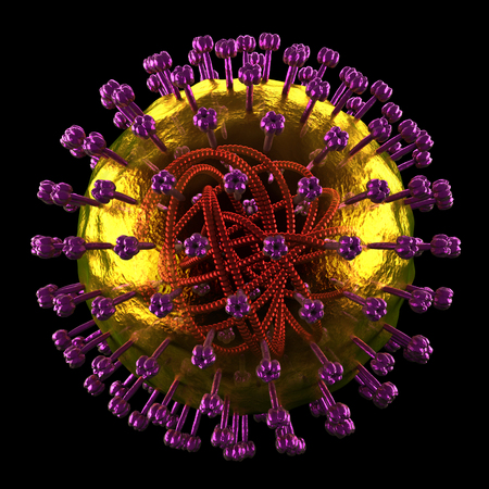 Measles Cell - Microbiology detailed view - isolated on blackの写真素材