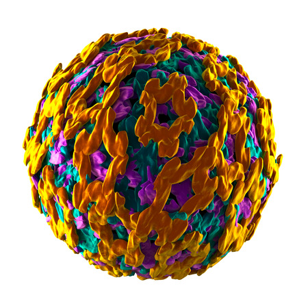 Yellow Fever Virus - isolated on whiteの写真素材