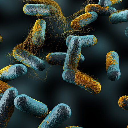 Clostridium Perfringens Bacteriaの写真素材