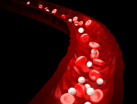 Blood Stream - Red and White Blood Cells Flowing Through Vein  - isolated on blackの写真素材