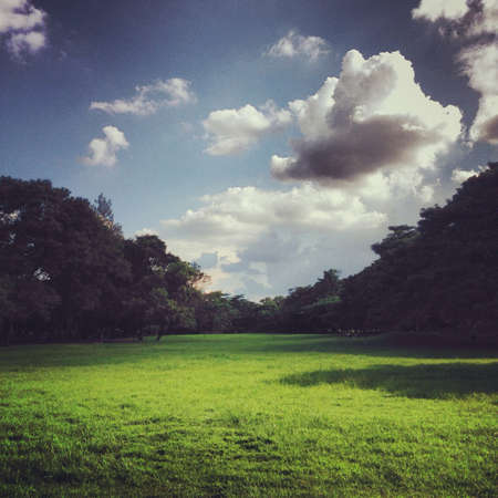 Green Park Bangkokの素材