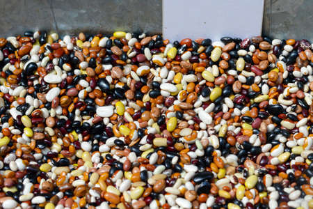 Variety of coloured beans. Food background.の写真素材