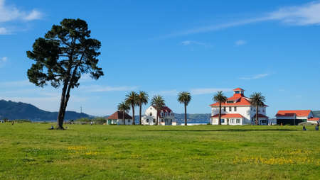 Crissy Field picnic area ,With beautiful tree and green grass in Sunny day. San Francisco, California.の写真素材