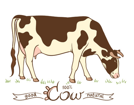 Spotted cow meadow eats grassのイラスト素材