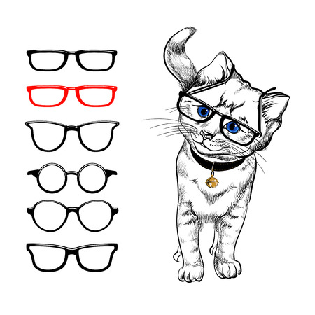 Cat with glasses. White background, who wears glasses Choosing glasses for eyes. The selection of glasses. Isolated elementsのイラスト素材