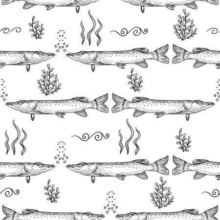 Pike. Seamless pattern of pike. Hand drawn sketch vector illustrationのイラスト素材