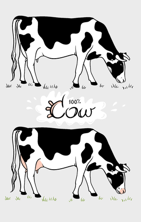 Cow. Cow eating grass. Cow isolated, set of elementsのイラスト素材